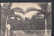 Load image into Gallery viewer, Singapore Postcard - View of Tyersall From Botanical Garden   T6651
