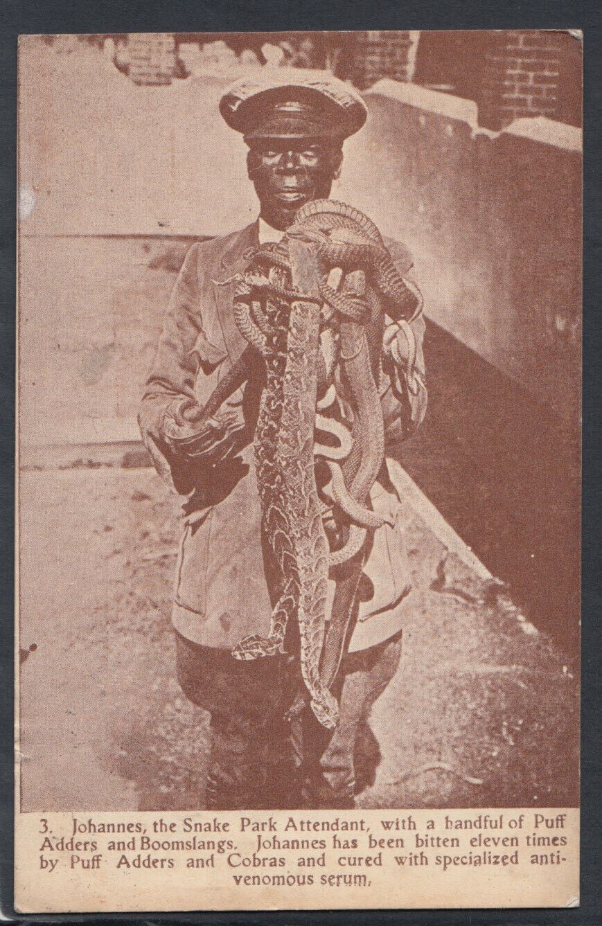 South Africa Postcard - Johannes, The Snake Attendant  T4404