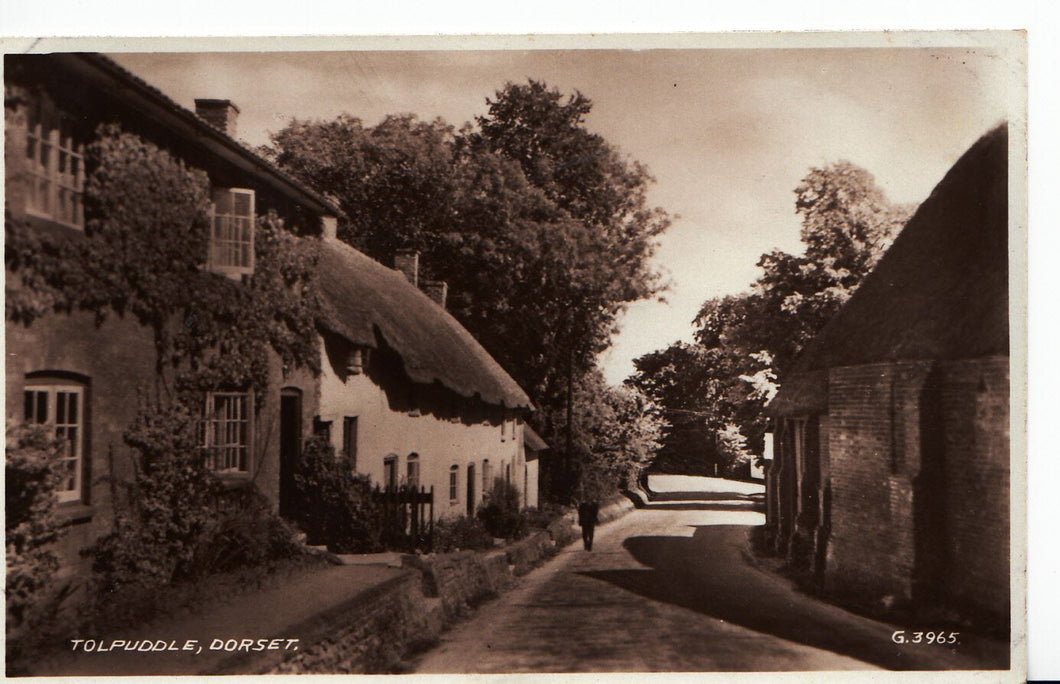 Dorset Postcard - Tolpuddle     A4346
