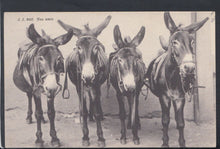 Load image into Gallery viewer, Animals Postcard - Group of Four Donkeys     RS18544
