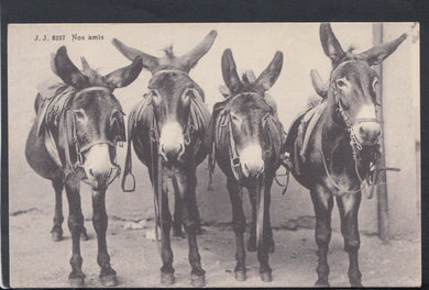 Animals Postcard - Group of Four Donkeys     RS18544