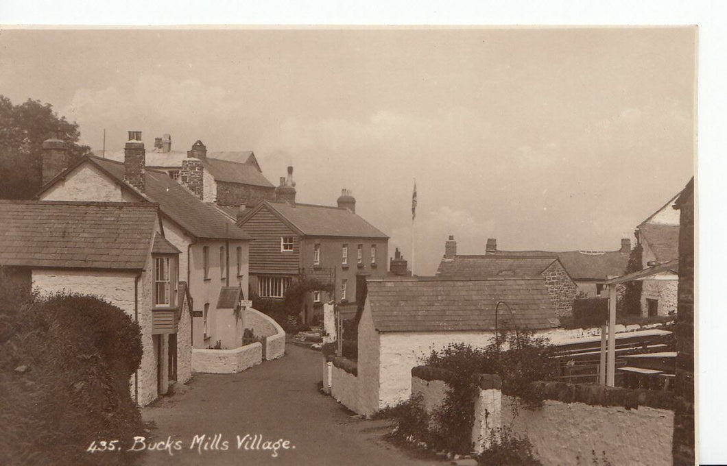 Devon Postcard - Bucks Mills Village   C22