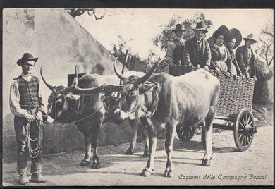 Italy Postcard - Costumi Delle Campagne Senesi   P309