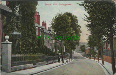 Hampshire Postcard - Sarum Hill, Basingstoke   RS27851