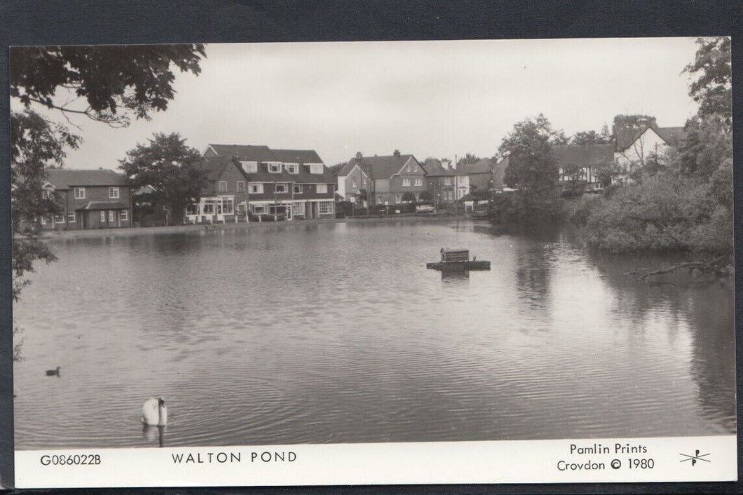 Surrey Postcard - Walton Pond, Walton-on-the-Hill Village  SW15039