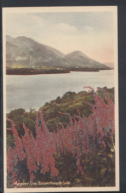 Cumbria Postcard - Foxglove Time, Bassenthwaite Lake  RS5357