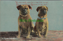 Load image into Gallery viewer, Dogs Postcard - Pugs, &quot;A Pugnacious Pair&quot;
