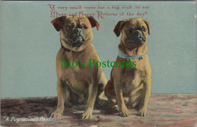 Dogs Postcard - Pugs, 