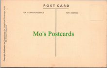 Load image into Gallery viewer, Views of Newport, Pembrokeshire
