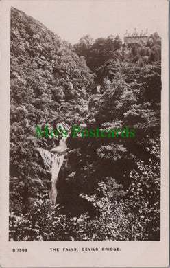 The Falls, Devil's Bridge, Ceredigion