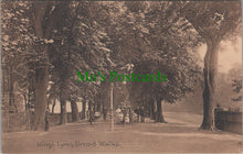 Load image into Gallery viewer, Broad Walks, Kings Lynn, Norfolk
