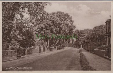 Essex Postcard - Halstead, Sudbury Road   HP674