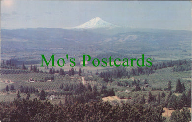 America Postcard - Mt Adams, Washington Ref.SW10149