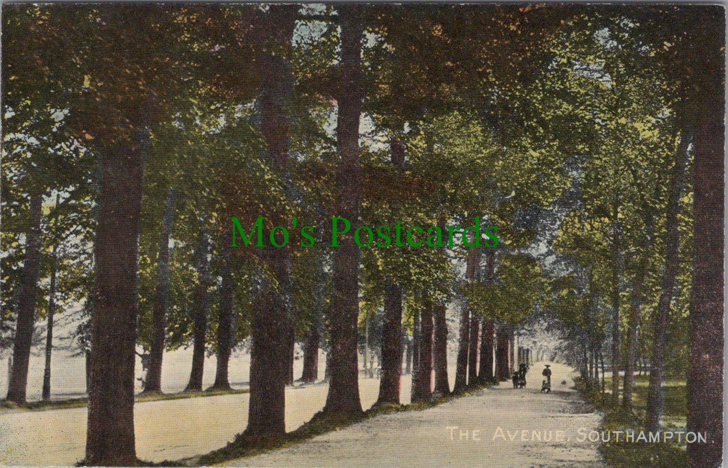 The Avenue, Southampton