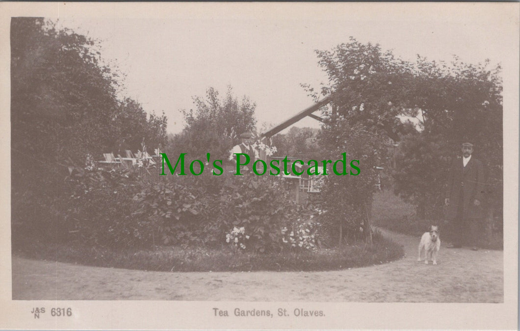 Norfolk Postcard - Tea Gardens, St Olaves  Ref.SW9937