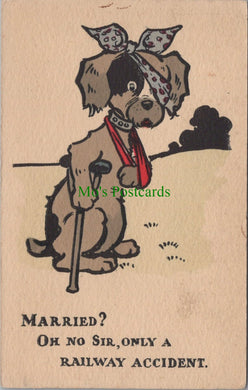Animals Postcard - Injured Dog, Railway Accident Ref.SW9869