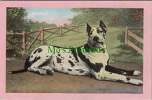 Load image into Gallery viewer, Animals Postcard - Large Dog    Ref.SW9870
