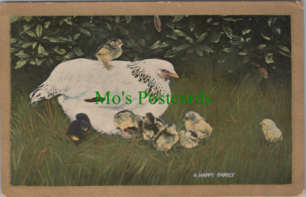 Animals Postcard, Birds, Chicks