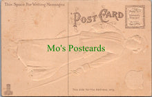 Load image into Gallery viewer, American Embossed Postcard - State of Maryland Lady Ref.SW9835
