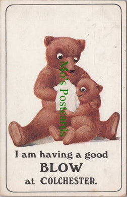 Teddy Bears Postcard - I am Having a Good Blow at Colchester Ref.SW9836