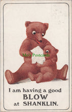 Load image into Gallery viewer, Teddy Bears Postcard - I am Having a Good Blow at Shanklin Ref.SW9838
