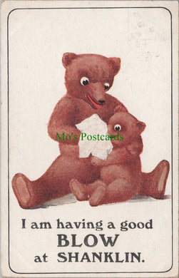 Teddy Bears Postcard - I am Having a Good Blow at Shanklin Ref.SW9838