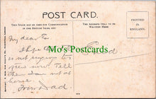 Load image into Gallery viewer, Teddy Bear Postcard - Bear Telephoning From Clacton-On-Sea Ref.SW9839
