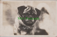 Load image into Gallery viewer, Dog Postcard - Goggles of Baronshalt Ref.SW9855
