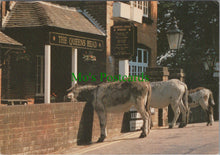 Load image into Gallery viewer, Donkeys at The Queens Head, Burley
