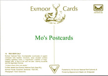 Load image into Gallery viewer, Red Deer Calf, Exmoor National Park
