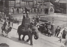 Load image into Gallery viewer, Hampshire Postcard - Elephant in Circus Procession, Crown Close, Alton Ref.SW10024
