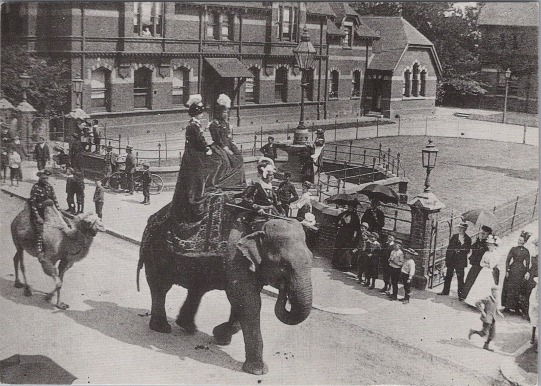 Hampshire Postcard - Elephant in Circus Procession, Crown Close, Alton Ref.SW10024