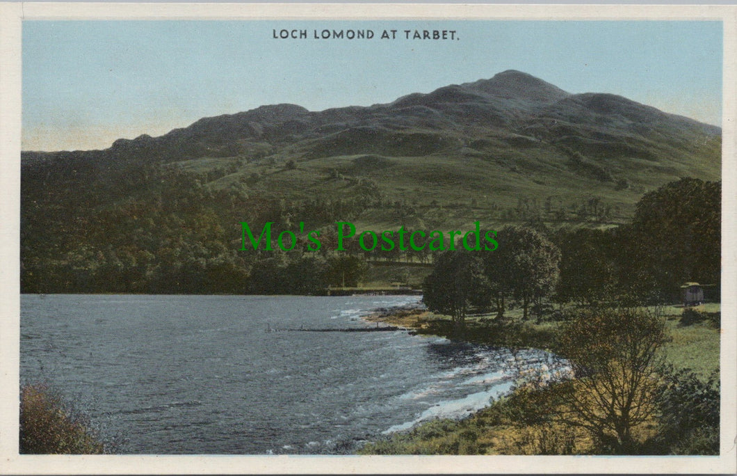 Loch Lomond at Tarbet