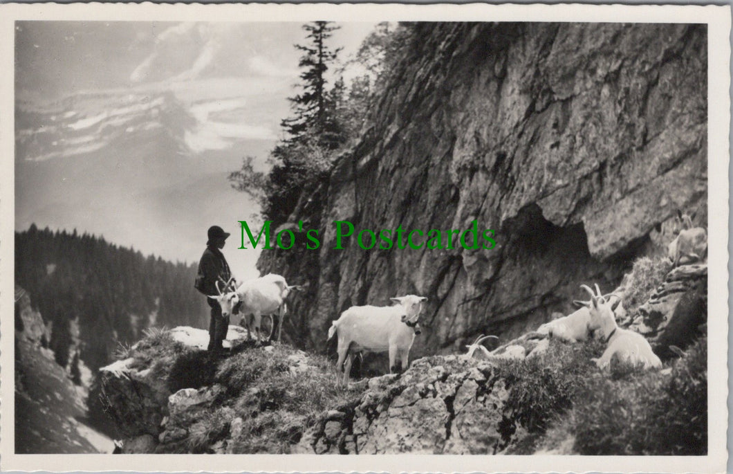 Switzerland Postcard, Leysin, Le Chevrier