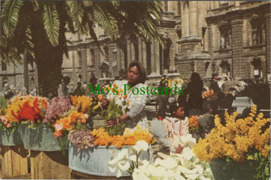 Cape Town Flower Sellers, South Africa