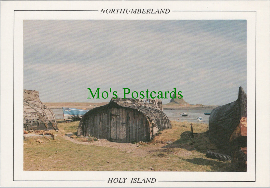 Holy Island, Northumberland