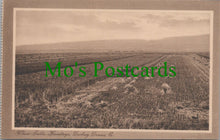 Load image into Gallery viewer, Wheat Fields, Hermitage, Darling Downs, Australia
