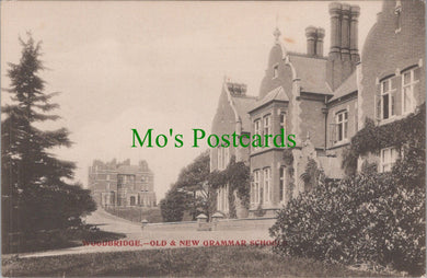 Suffolk Postcard - Woodbridge Old & New Grammar School DC197