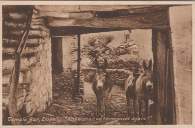 Devon Postcard - Donkeys, Temple Bar, Clovelly  SW10795
