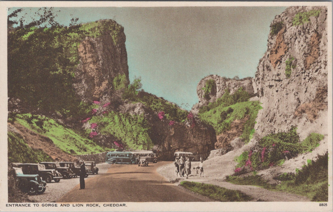 Somerset Postcard - Cheddar, Entrance To Gorge and Lion Rock SW10848