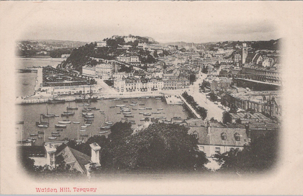 Devon Postcard - Waldon Hill, Torquay  SW10854