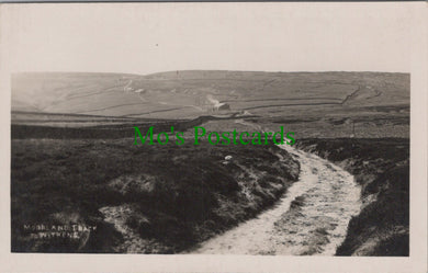Yorkshire Postcard - Moorland Track To Withens SW10540