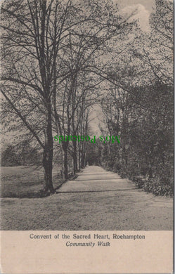 London Postcard - Roehampton, Covent of The Sacred Heart SW10566
