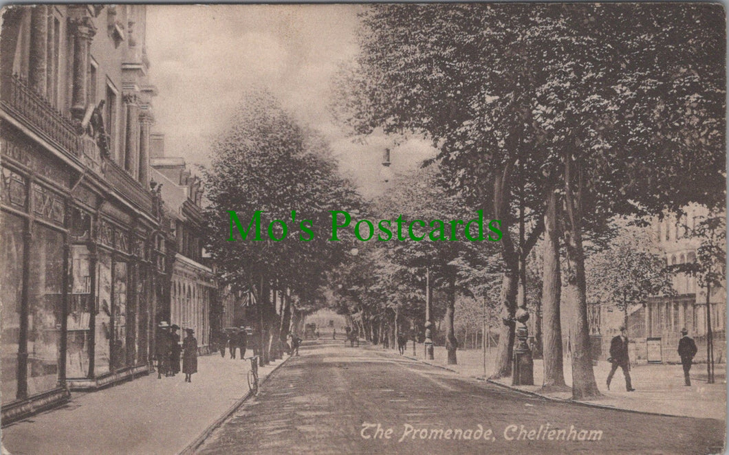 Gloucestershire Postcard - The Promenade, Cheltenham  SW10604