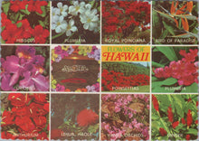 Load image into Gallery viewer, Nature Postcard - Flowers of Hawaii, America  SW10281
