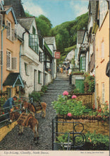 Load image into Gallery viewer, Devon Postcard - Donkeys, Up-a-Long, Clovelly SW10354
