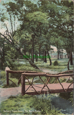 Surrey Postcard - Norbury Topse, The Rustic Bridge  SW10934