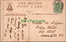 Load image into Gallery viewer, Surrey Postcard - Norbury Topse, The Rustic Bridge  SW10934
