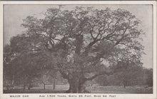 Load image into Gallery viewer, Nature Postcard - Major Oak Tree, Age 1,500 Years  SW10638
