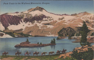 America Postcard - Pack Train in The Wallowa Mountains, Oregon SW10678